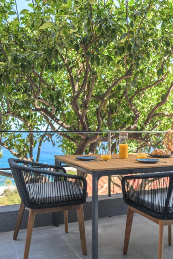 Proche Monaco, Vue Mer, Acces Plage Et Jardin Privatif Saint-Antoine  Eksteriør bilde